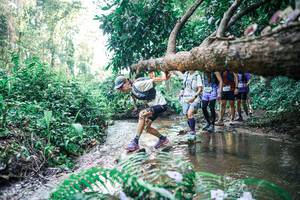 BIB: 
                            <button type="button" onclick="openModal(25463984)" class="btn btn-primary btn-sm float-right btn-popup" data-toggle="modal" data-target=".modal-high-quality">
                        <i class="fas fa-shopping-cart"></i> Add to Cart
                    </button>
                                            <button type="button" onclick="isThisMe(25463984, true)" class="btn btn-success btn-sm float-right btn-popup btn-isme hidden" data-toggle="tooltip" data-placement="bottom" title="นี่คือรูปของคุณใช่ไหม คลิกที่นี่เพื่อเอาเข้าอัลบั้ม">
                        <i class="fas fa-plus"></i> Add to album
                    </button>
                    <button type="button" onclick="isThisMe(25463984, false)" class="btn btn-warning btn-sm float-right btn-popup btn-isnotme hidden">
                        <i class="fas fa-ban"></i> Remove from album
                    </button>